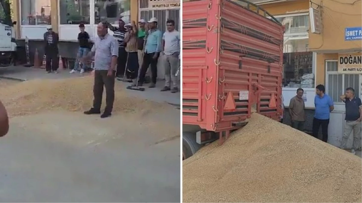 Mahsülü TMO tarafından satın alınmayan çifti, buğdayını AK Parti ilçe başkanlığının önüne döktü: Ne zamana kadar bekleyeceğiz