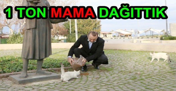 1 YILDA 41 BİN KG MAMA DAĞITILDI