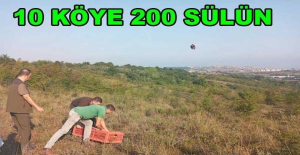 10 KÖYE 200 SÜLÜN SALDILAR