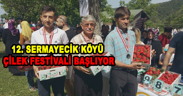 12. SERMAYECİK KÖYÜ ÇİLEK FESTİVALİ BAŞLIYOR