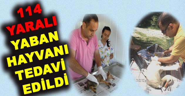2017 YILINDA 114 YARALI YABAN HAYVANI TEDAVİ EDİLDİ