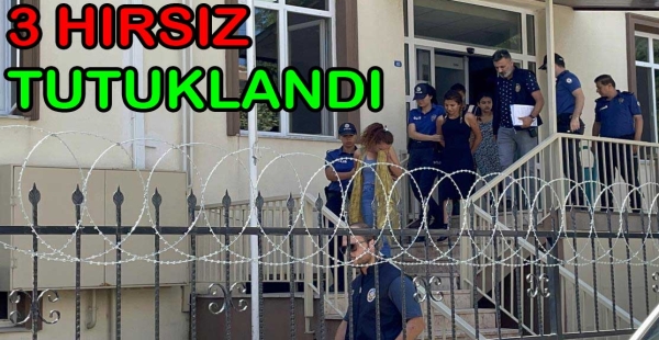 3 HIRSIZ FERİBOTLA KAÇARKEN YAKALANDI