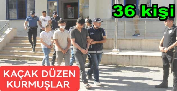 36 KAÇAK GÖÇMEN YAKALANDI