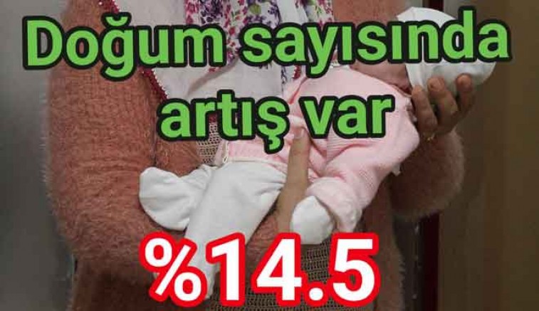 4 AYDA YALOVA’DA DOĞUM ARTTI