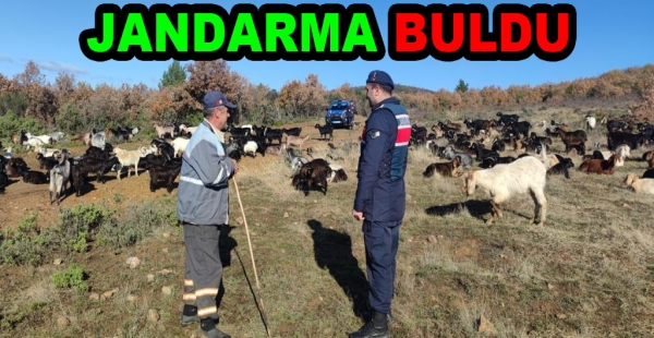 400 KÜÇÜKBAŞI JANDARMA BULDU