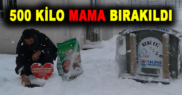 45 FARKLI NOKTAYA 500 KİLO MAMA BIRAKILDI