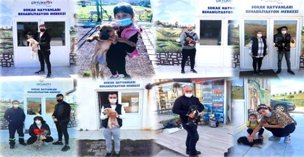 ​62 HAYVAN SAHİPLENDİRİLDİ