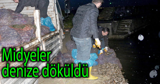 8 ton kaçak midye toplamışlar
