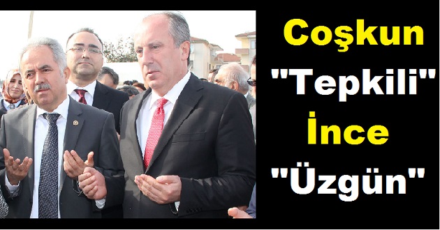 AĞAÇ KESİMİNE COŞKUN TEPKİLİ, İNCE ÜZGÜN