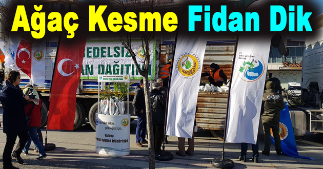 Ağaç Kesme Fidan Dik