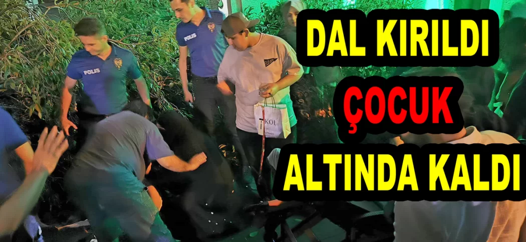 AĞACIN ALTINDA KALAN ÇOCUK SAĞ KURTULDU