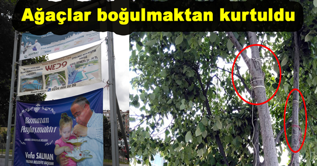AĞAÇLAR KURTULDU