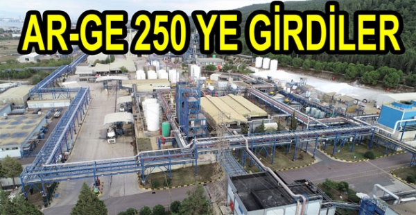 AKSA AKKİM AR-GE 250 YE GİRDİ