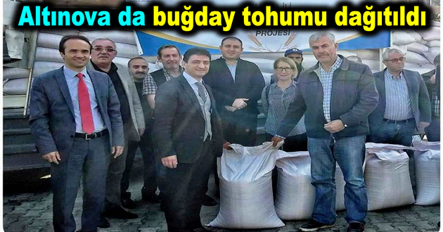 Altınova da buğday tohumu dağıtıldı
