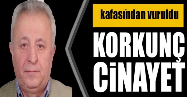 ALTINOVA DA TARTIŞTIĞI KİŞİYİ ÖLDÜRDÜ