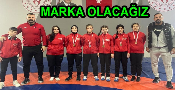 ALTINOVA GÜREŞTE BİR MARKA OLUYOR