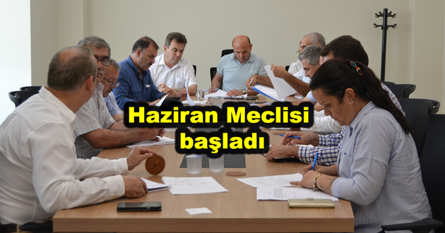 Altınova Haziran Meclisi başladı