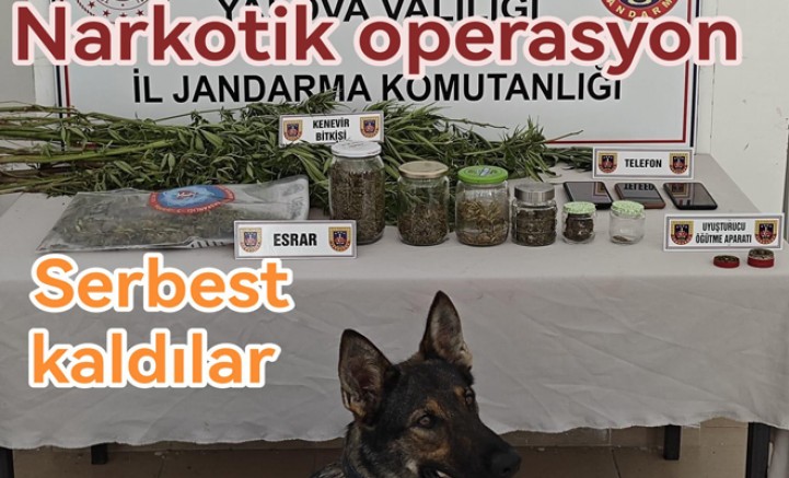 ALTINOVA KARADERE’DE JANDARMADAN UYUŞTURUCU OPERASYONU