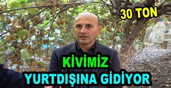 ALTINOVA KİVİSİ YURT DIŞI PAZARINA AÇILDI