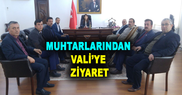 ALTINOVA MUHTARLARINDAN VALİ YE ZİYARET
