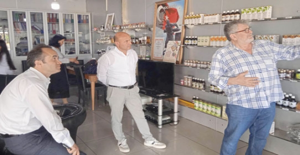 ALTINOVA’DA EKSTRASYON BAŞLATILIYOR