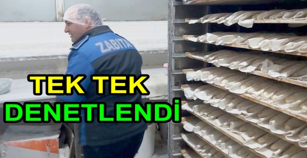 ALTINOVA’DA FIRINLAR DENETLENDİ