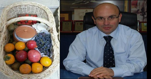 ALTINOVA'YI TANITMAK GÖREVİMİZDİR