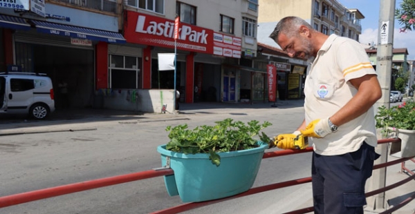ANA ARTERLEREDE ÇİÇEK DİKİYORLAR