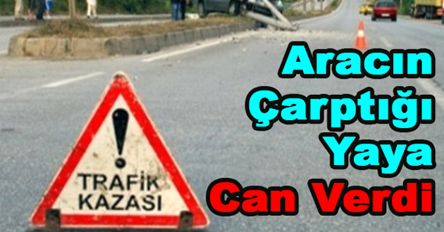 Aracın Çarptığı Yaya Can Verdi