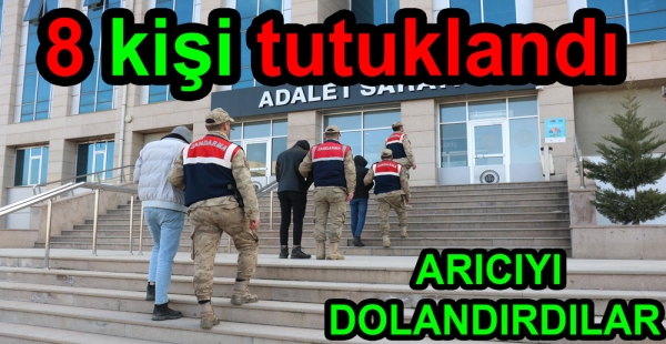 ARICI DOLANDIRDILARI TUTUKLANDI