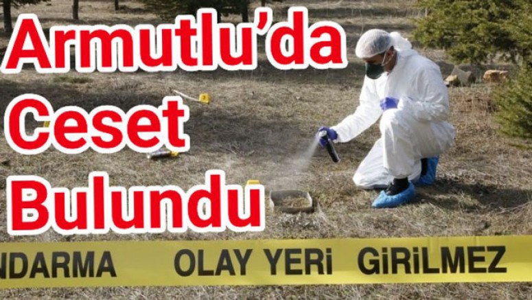 ARMUTLU’DA KİMLİKSİZ ERKEK CESEDİ BULUNDU