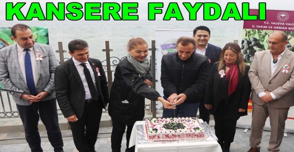 ARONYA GÜNLERİ YÜRÜYEN KÖŞK’TE YAPILDI