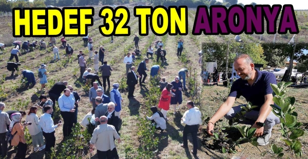 ARONYA HASATI YAPILDI