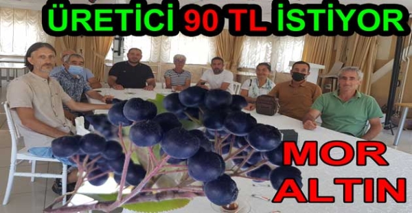 ARONYA ÜRETİCİSİ 90 TL İSTİYOR