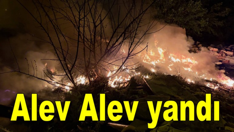 BAĞLARBAŞI'NDA KORKUTAN YANGIN