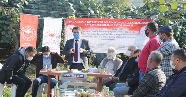 Bal Arsının Kiviye etkisi büyük
