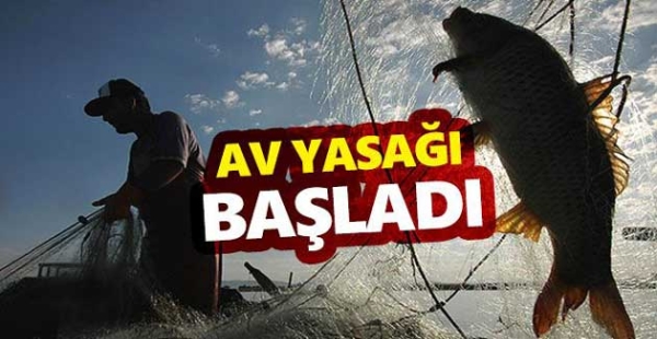 ​BALIKÇILIK AV YASAĞI BAŞLADI