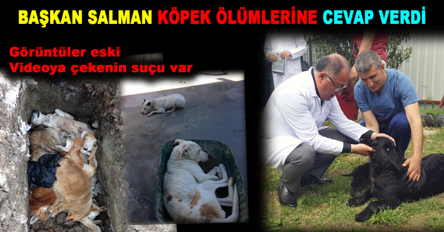 BAŞKAN SALMAN KÖPEK ÖLÜMLERİNE CEVAP VERDİ