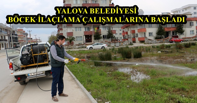BELEDİYE BÖCEK İLAÇLAMA ÇALIŞMALARINA BAŞLADI