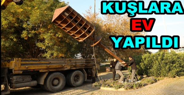 BELEDİYE KUŞLARA EV YAPTI