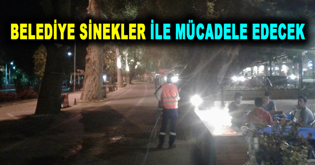 BELEDİYE SİNEKLER İLE MÜCADELE EDECEK