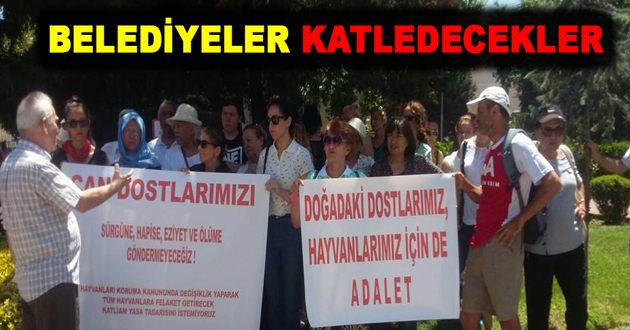 BELEDİYELER HAYVANLARI KATLEDECEK
