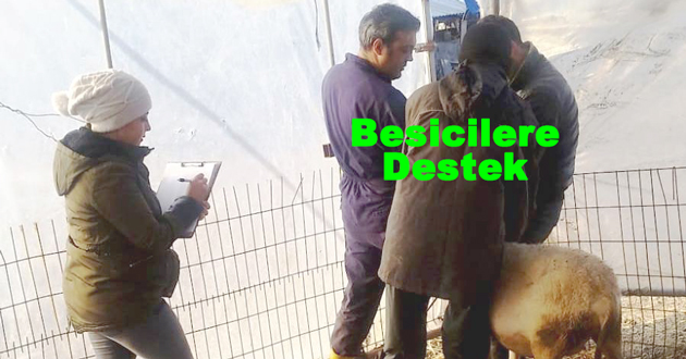 Besicilere destek başladı