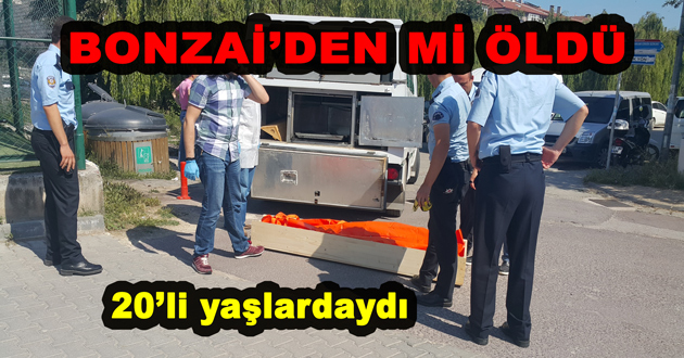 BONZAİ CAN MI ALDI?
