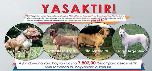 BU KÖPEKLER YASAKLANDI