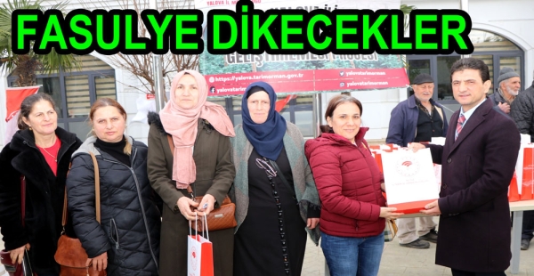 ÇALI FASULYESİ DİKECEKLER