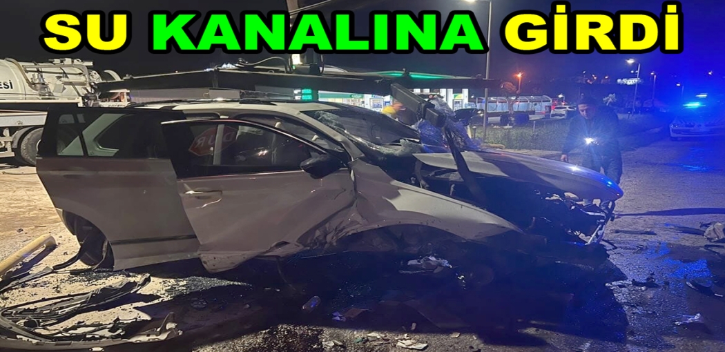 ÇALICA DA SU KANALINA DÜŞTÜ