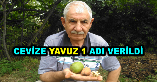 CEVİZE YAVUZ 1 ADI VERİLDİ