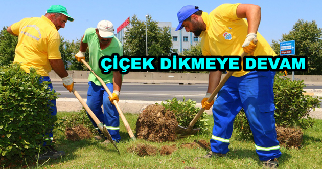 ÇİÇEK DİKMEYE DEVAM