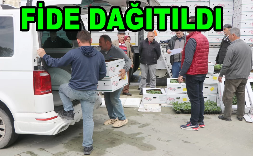 ÇİFTÇİLERE 250 BİN ADET SEBZE FİDESİ DAĞITILDI